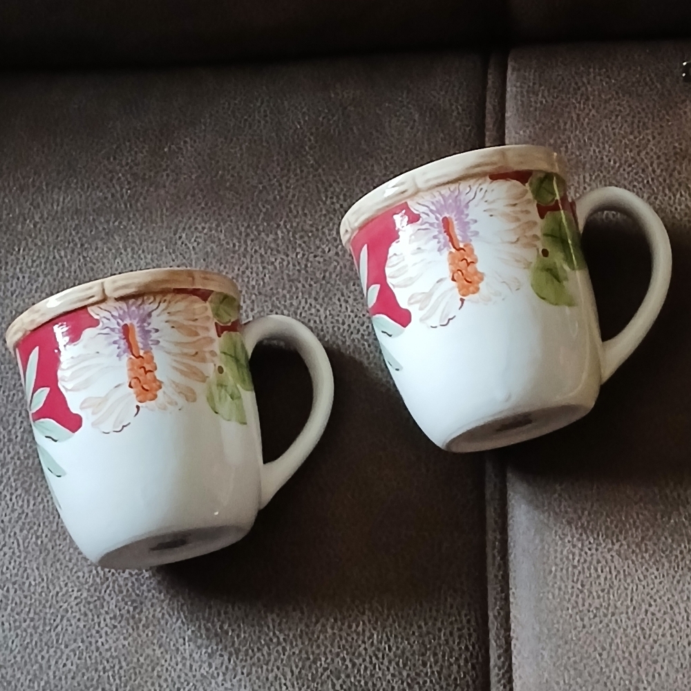Home Trends Hibiscus And Bamboo Coffee Cups Mugs Burgundy, Green, Cream 2